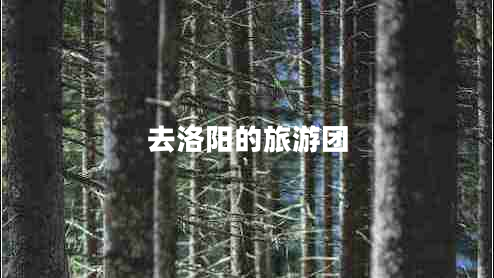 去洛陽的旅游團(tuán) 去洛陽的旅游團(tuán)