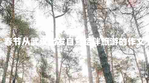 春節(jié)從武漢出發(fā)自駕結(jié)伴旅游的作文