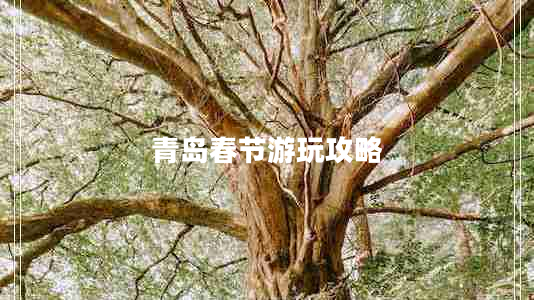 青島春節(jié)游玩攻略 青島春節(jié)游玩攻略