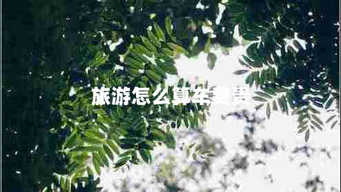 旅游怎么算車費貴