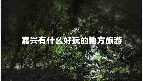 嘉興有什么好玩的地方旅游