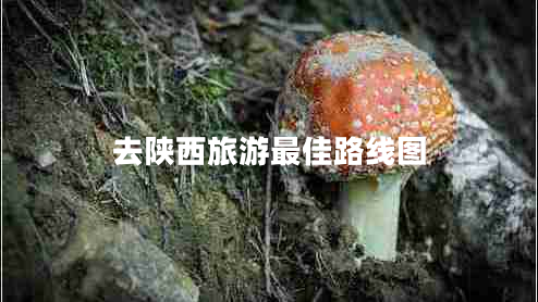 去陜西旅游最佳路線圖