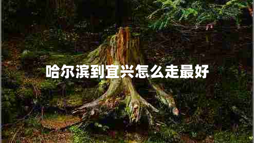 哈爾濱到宜興怎么走最好