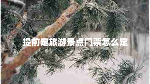 提前定旅游景點門票怎么定