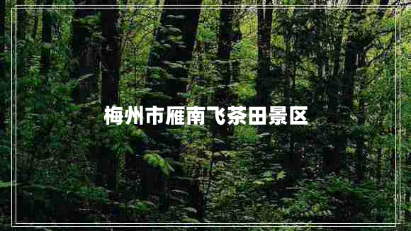 梅州市雁南飛茶田景區(qū) 梅州市雁南飛茶田景區(qū)