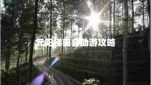 元陽梯田自助游攻略 元陽梯田自助游攻略