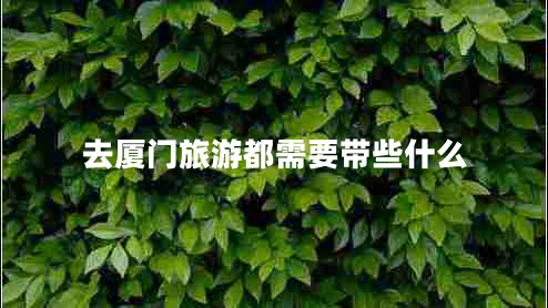 去廈門旅游都需要帶些什么