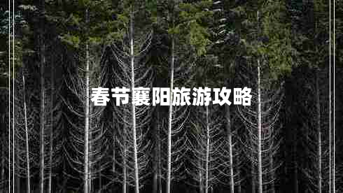 春節(jié)襄陽旅游攻略