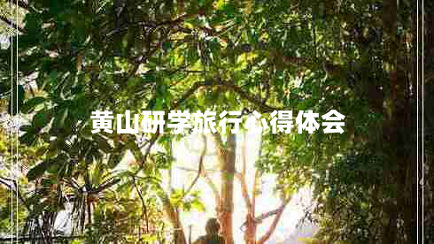 黃山研學(xué)旅行心得體會(huì)