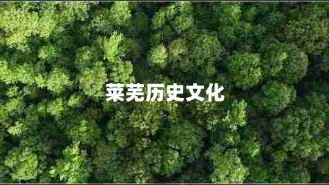 萊蕪歷史文化 萊蕪歷史文化