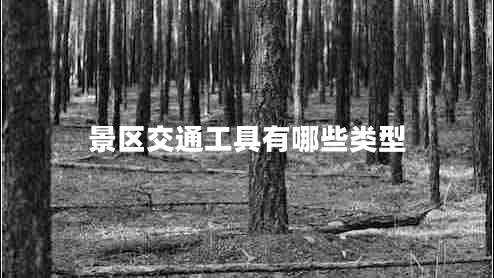 景區(qū)交通工具有哪些類型