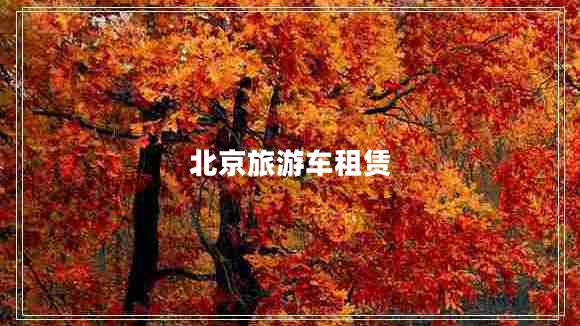 北京旅游車租賃