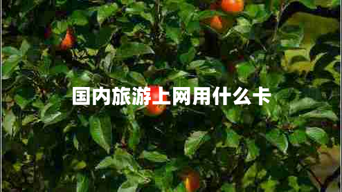 國(guó)內(nèi)旅游上網(wǎng)用什么卡