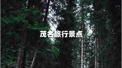 茂名旅行景點(diǎn)