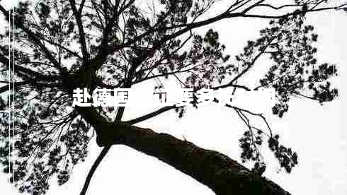 赴德國簽證要多長時間