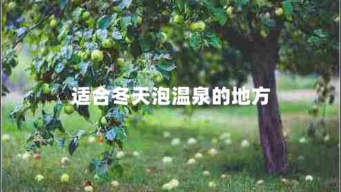 適合冬天泡溫泉的地方