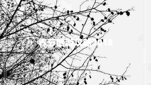 春節(jié)旅游攻略2018