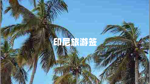 印尼旅游簽