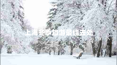 上海冬季旅游最佳去處 上海冬季旅游最佳去處