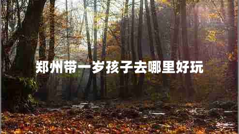 鄭州帶一歲孩子去哪里好玩