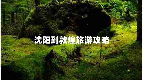 沈陽到敦煌旅游攻略 沈陽到敦煌旅游攻略