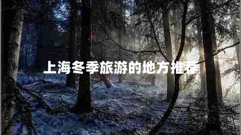 上海冬季旅游的地方推薦