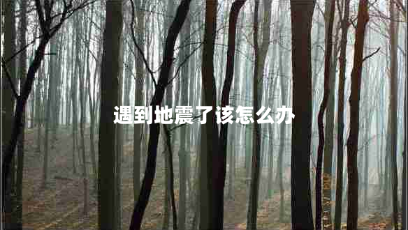 遇到地震了該怎么辦 遇到地震了該怎么辦
