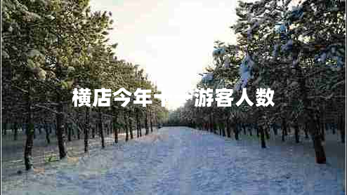 橫店今年十一游客人數(shù)