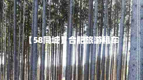 【58同城】合肥旅游租車