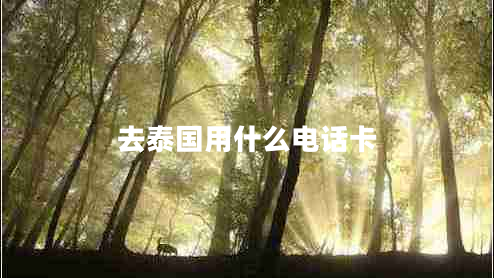 去泰國用什么電話卡