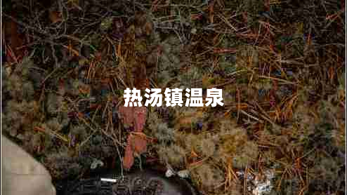 熱湯鎮(zhèn)溫泉 熱湯鎮(zhèn)溫泉