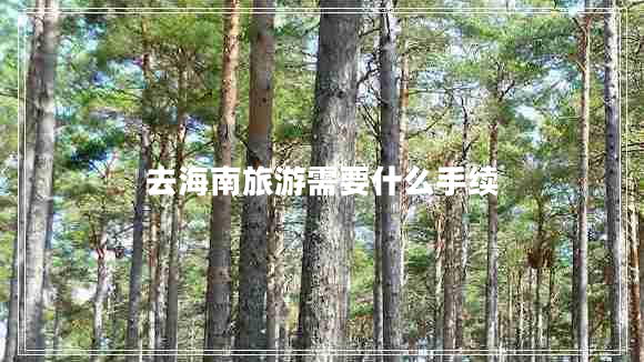 去海南旅游需要什么手續(xù) 去海南旅游需要什么手續(xù)