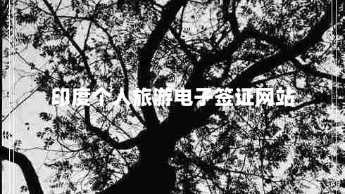 印度個人旅游電子簽證網(wǎng)站