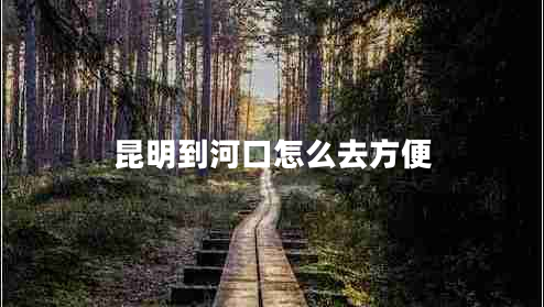 昆明到河口怎么去方便 昆明到河口怎么去方便