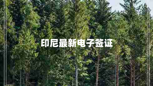 印尼最新電子簽證