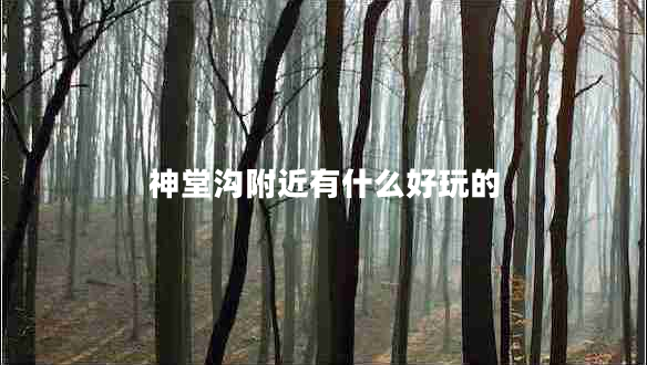 神堂溝附近有什么好玩的