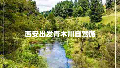 西安出發(fā)青木川自駕游