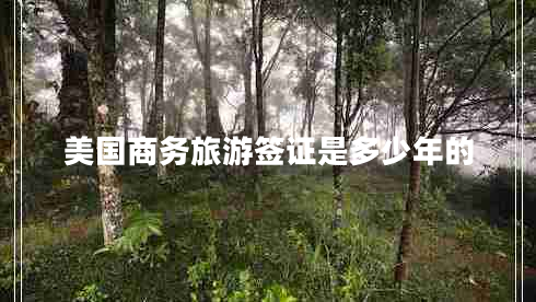 美國(guó)商務(wù)旅游簽證是多少年的