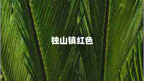 獨山鎮(zhèn)紅色