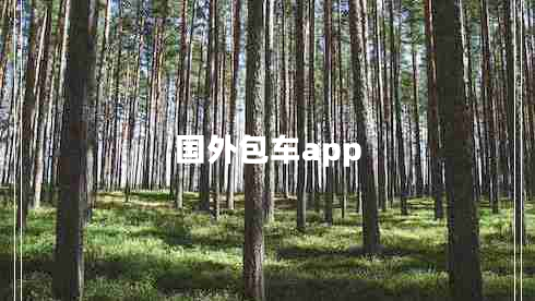 國外包車app