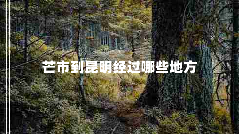 芒市到昆明經(jīng)過(guò)哪些地方