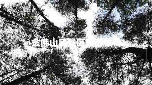 金佛山風(fēng)景區(qū)旅游住宿