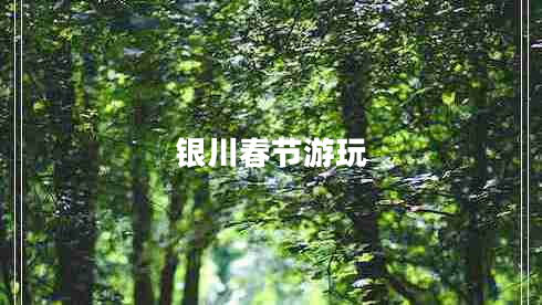 銀川春節(jié)游玩 銀川春節(jié)游玩