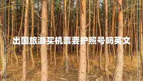 出國旅游買機票要護照號嗎英文