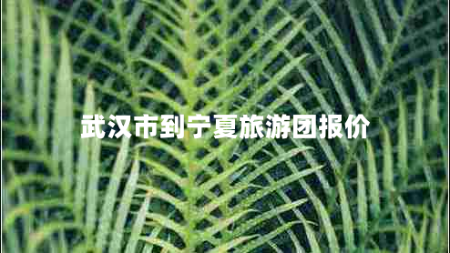 武漢市到寧夏旅游團(tuán)報(bào)價(jià)