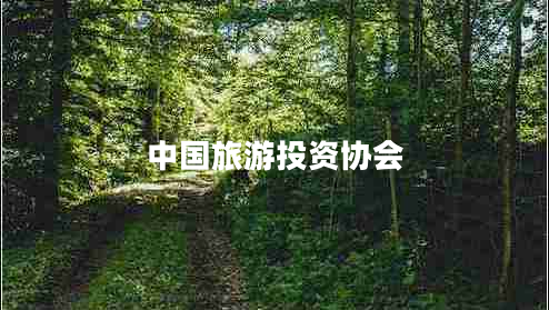 中國旅游投資協(xié)會(huì)