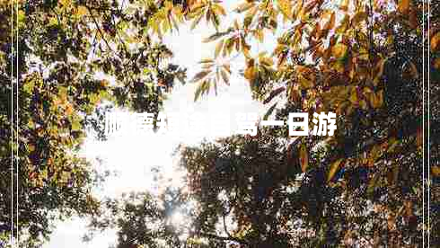 順德短途自駕一日游