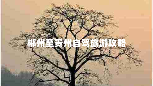 郴州至貴州自駕旅游攻略 郴州至貴州自駕旅游攻略