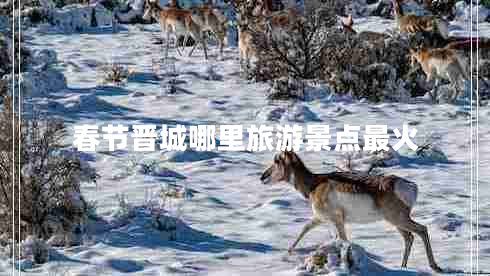 春節(jié)晉城哪里旅游景點最火