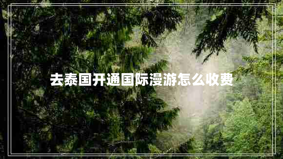 去泰國開通國際漫游怎么收費(fèi)